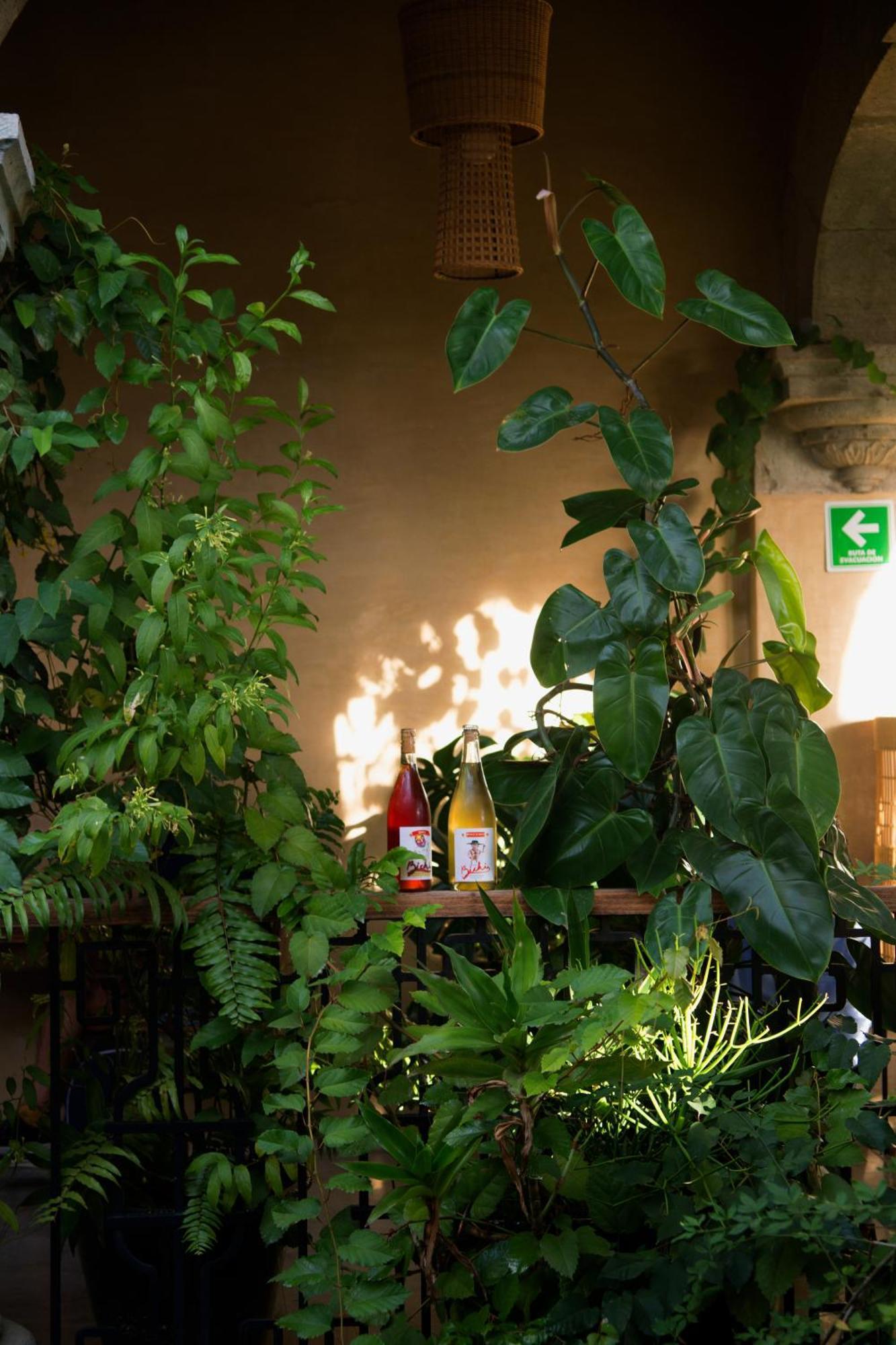 Casa Antonieta Hotell Oaxaca Exteriör bild